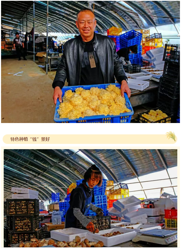 de83c2ca51d94441b7cd5e6a55601ad5.png